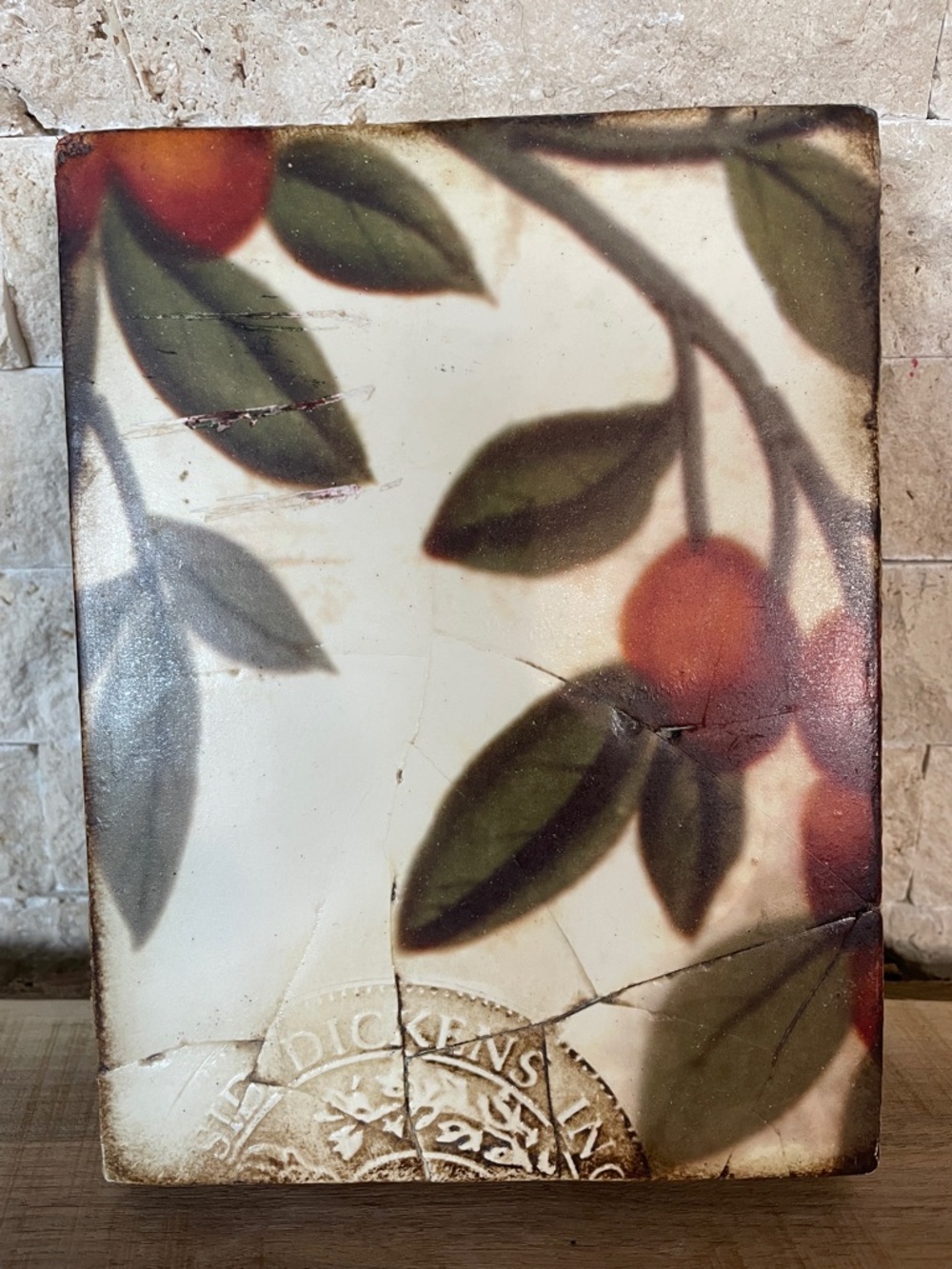 Sid Dickens T-100 Plums